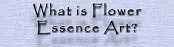 What is Flower Essence Art?